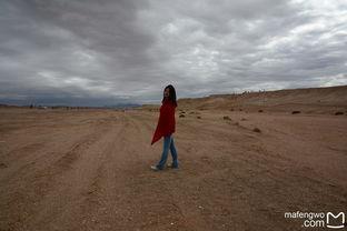 苍茫的天涯是我最爱,苍茫天涯情意浓