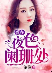 爱在夜色阑珊处,一场跨越时空的浪漫邂逅